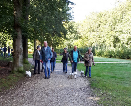 Afbeelding invoegen